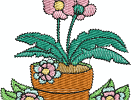 allaroundthegarden 22